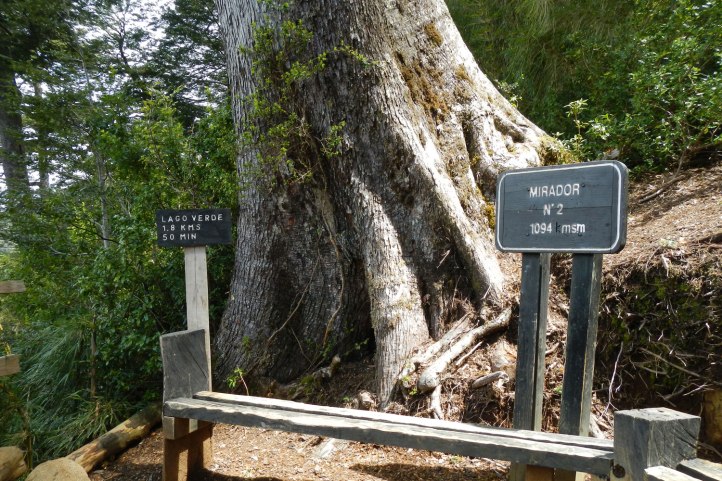 parque-nacional-huerquehue4